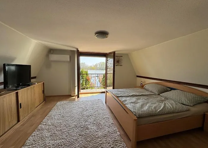 Vizparti Relax Fun And